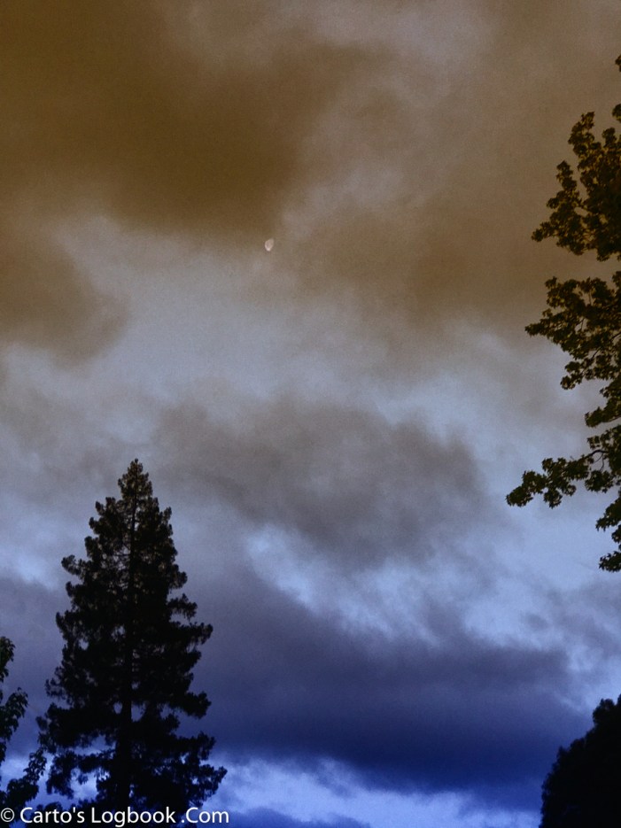 COx-Moon2-IMG_3883