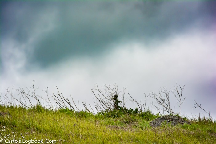 WPC-Evanescent-_DSC1943-2